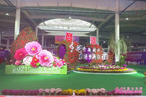 第七届济南花卉园艺博览会暨第四届济南都市农产品博览会在商河开幕
